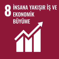 İNSANA YAKIŞIR İŞ VE EKONOMİK BÜYÜME